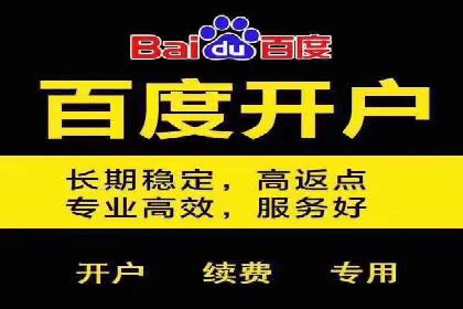 案例解析：SEM推广助力电商转化率提升